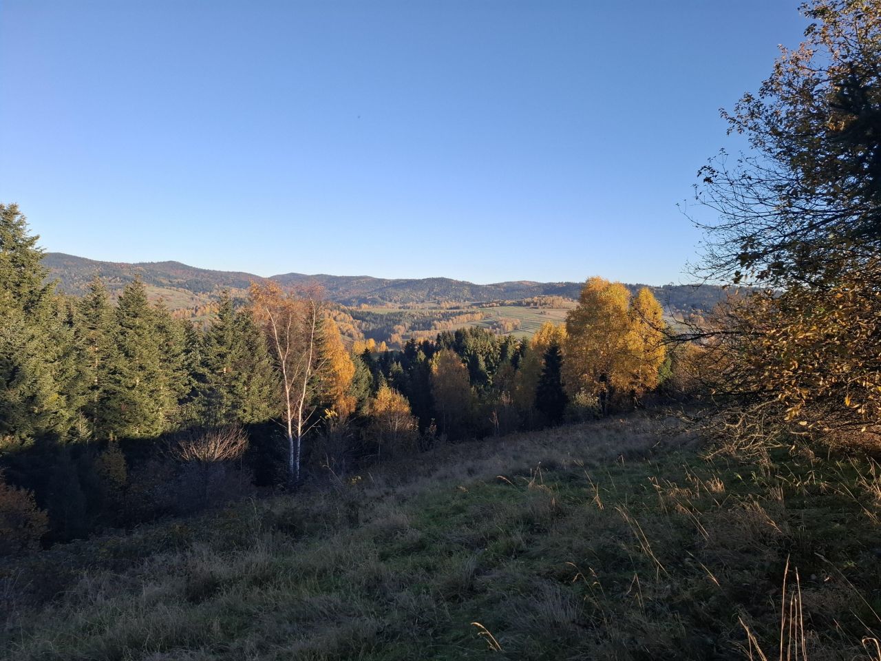 Działka rekreacyjna Rdzawka. Zdjęcie 4