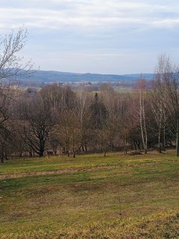 Działka rolno-budowlana Łopuszka Mała. Zdjęcie 1