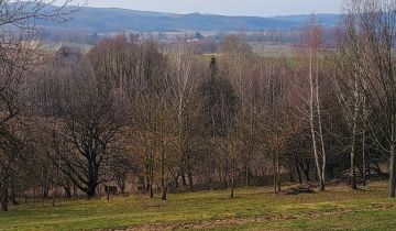 Działka rolno-budowlana Łopuszka Mała