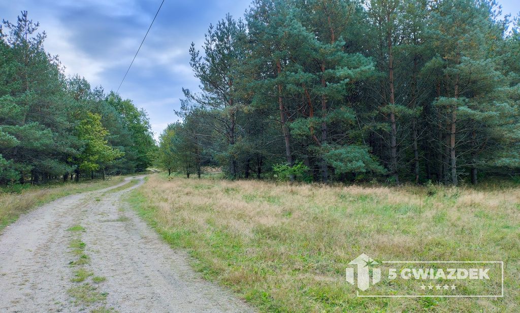 Działka siedliskowa Czochryń. Zdjęcie 11