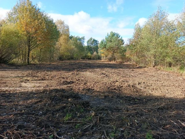 Działka rekreacyjna Łagów. Zdjęcie 1