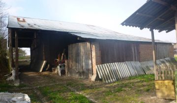 gospodarstwo Bęczyn