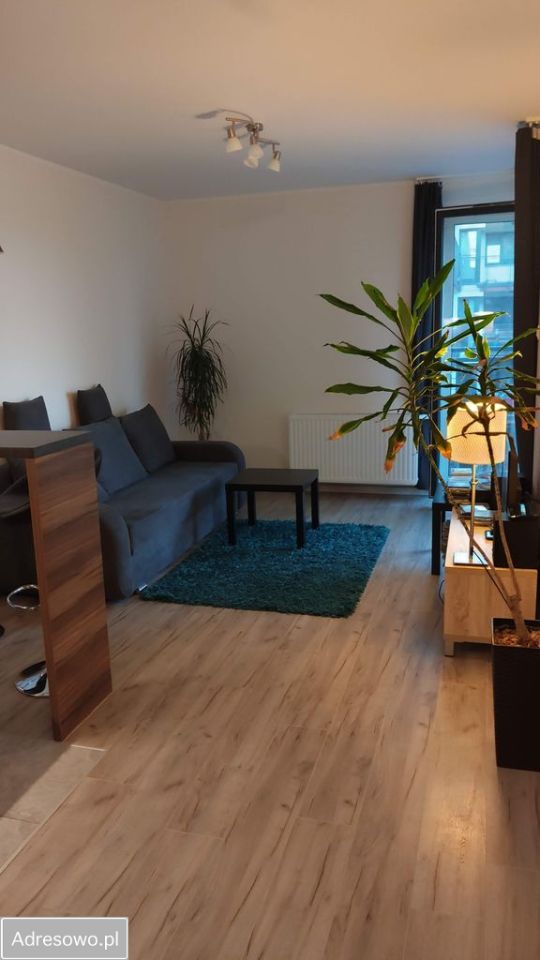 Mieszkanie 2-pokojowe Warszawa Wola, ul. Jana Kazimierza. Zdjęcie 3