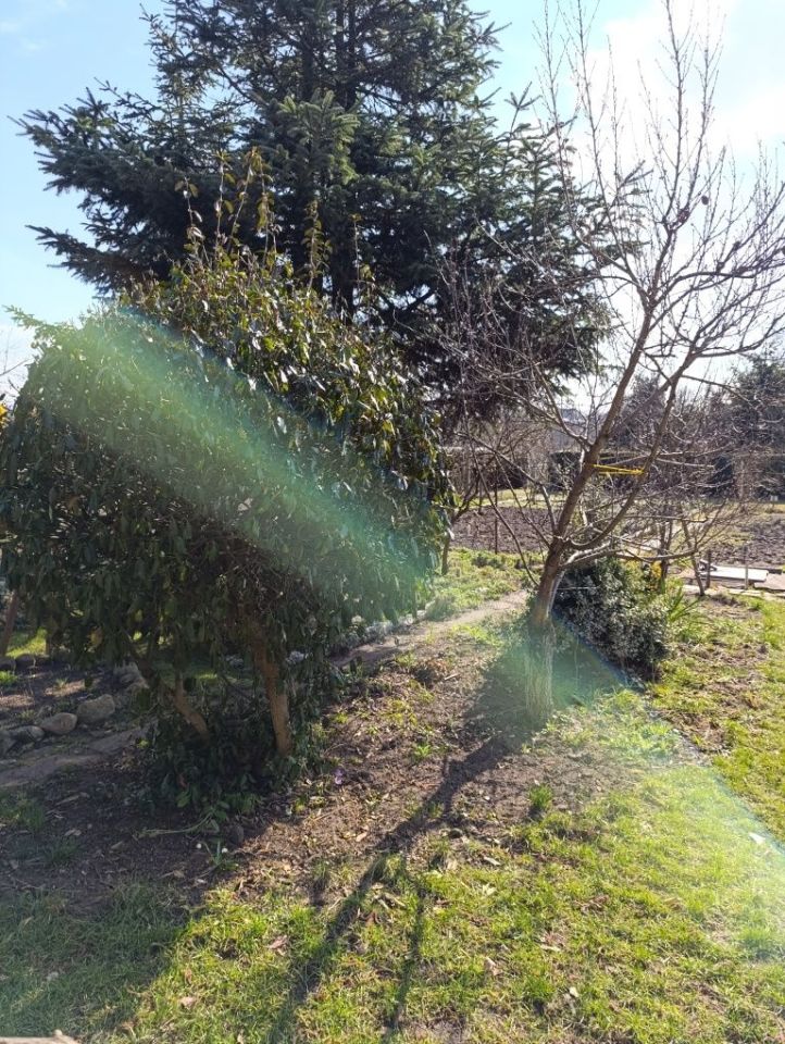 Działka rod Lubsko. Zdjęcie 2