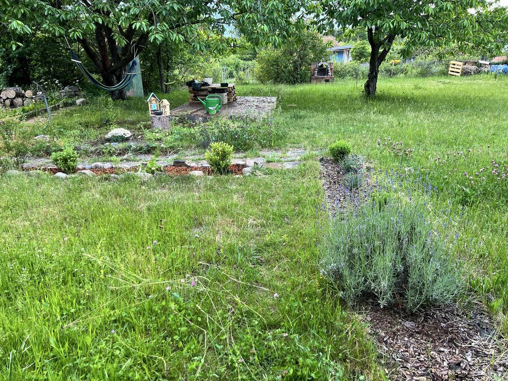 Działka rod Wilkanowo, ul. Szkolna. Zdjęcie 6