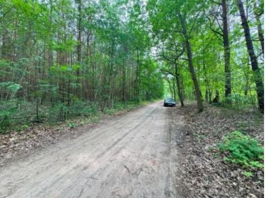 Działka leśna Nadarzyn, ul. Sęczkowa. Zdjęcie 2