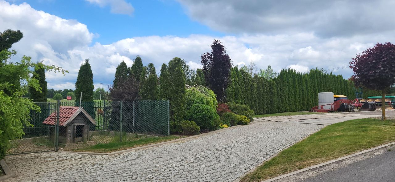 Działka siedliskowa Rychnowo. Zdjęcie 3
