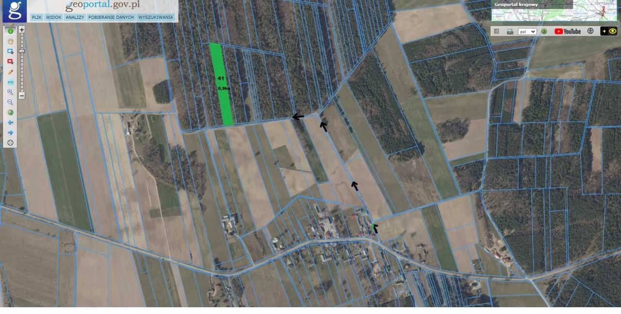 Działka leśna Boratyniec Lacki. Zdjęcie 2