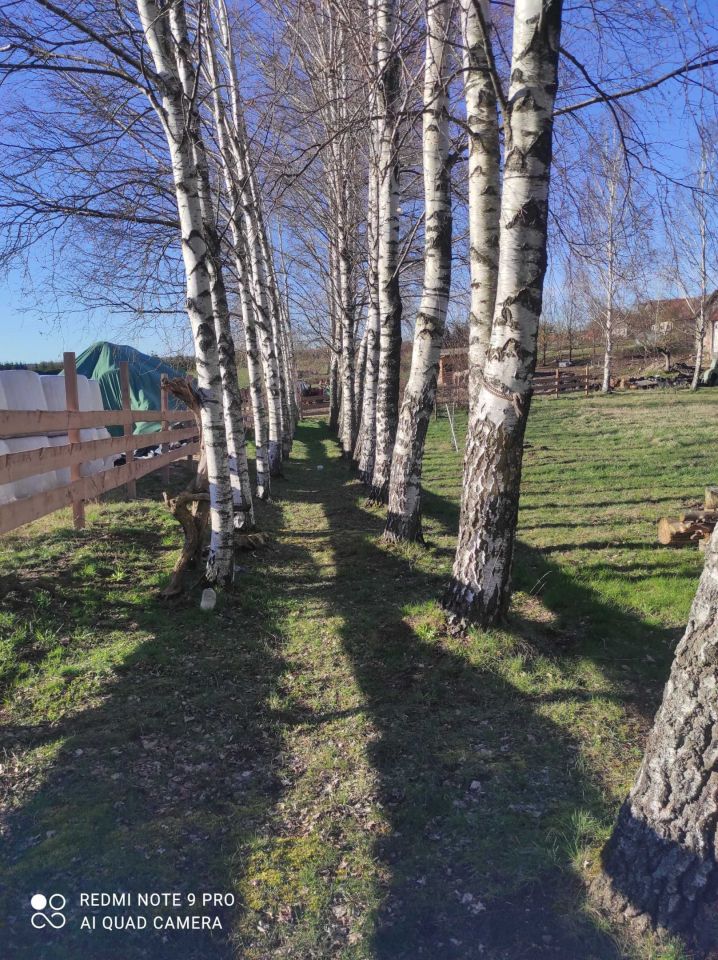 dom wolnostojący Stręgielek. Zdjęcie 7