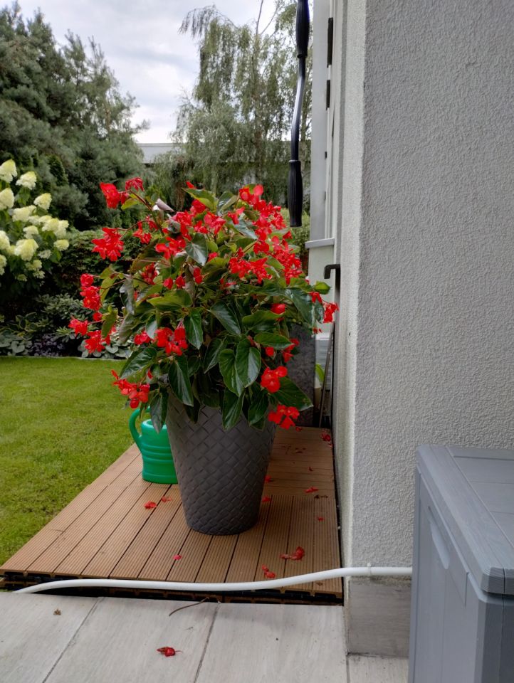 Mieszkanie 2-pokojowe Józefosław, ul. Wenus. Zdjęcie 10