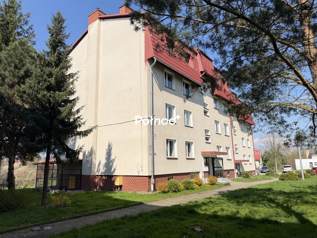 Mieszkanie 1-pokojowe Gryfów Śląski, ul. Strzelnicza. Zdjęcie 8