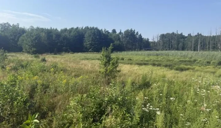 Działka budowlana Zboiska, ul. Wspólna
