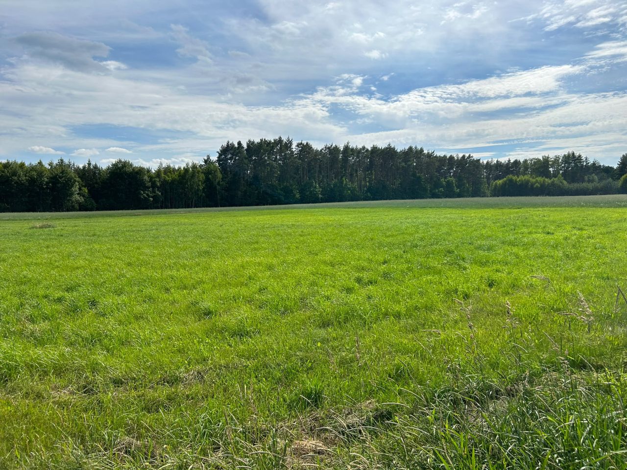 Działka rolno-budowlana Prusocin, droga gminna - działka nr 9. Zdjęcie 19