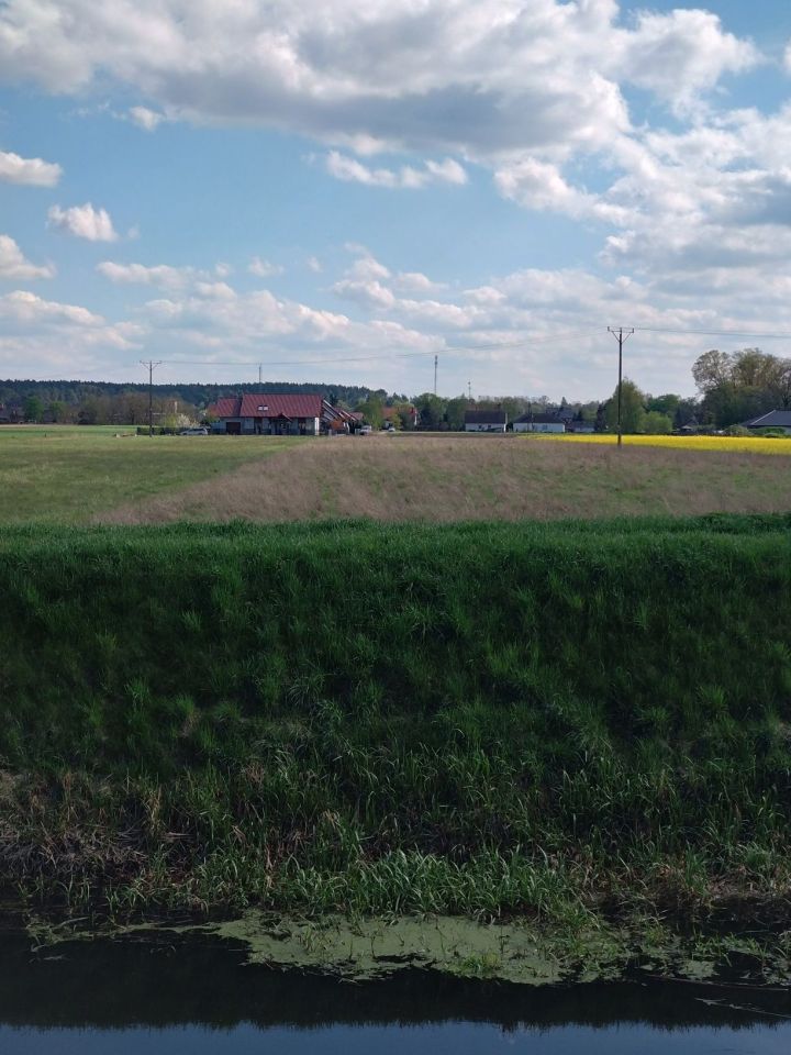 Działka budowlana Krzeszyce, ul. Wolności. Zdjęcie 1