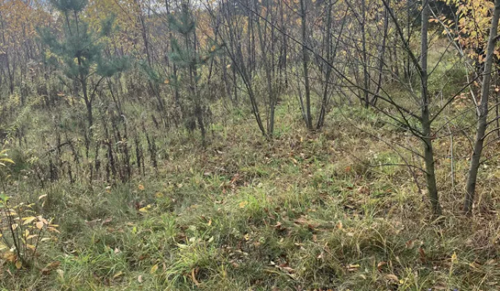 Działka rolna Łódź Widzew, ul. Bakaliowa
