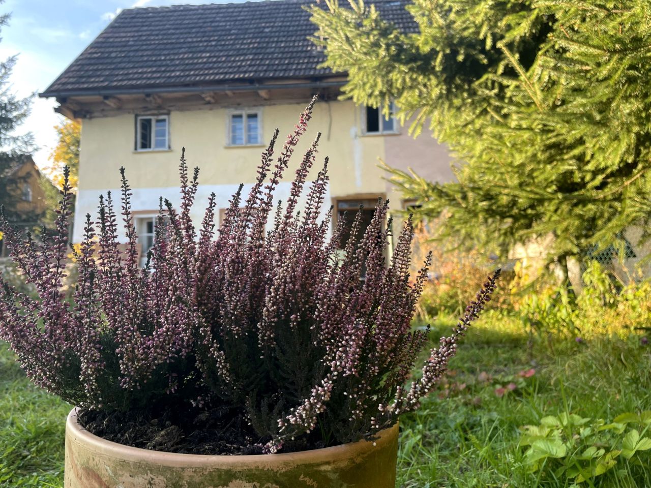 dom wolnostojący, 4 pokoje Pasiecznik. Zdjęcie 2