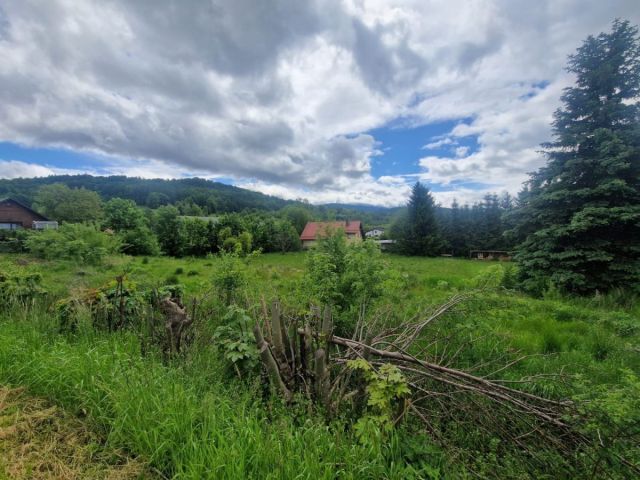 Działka inwestycyjna Sosnówka, ul. Liczyrzepy. Zdjęcie 1