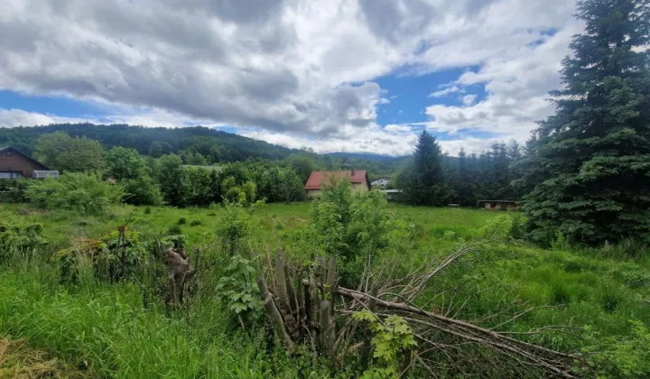 Działka inwestycyjna Sosnówka, ul. Liczyrzepy