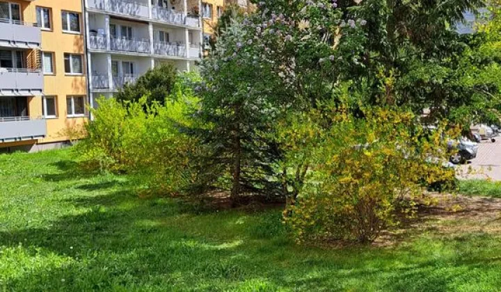 Mieszkanie 3-pokojowe Wrocław Muchobór Mały, ul. Strzegomska