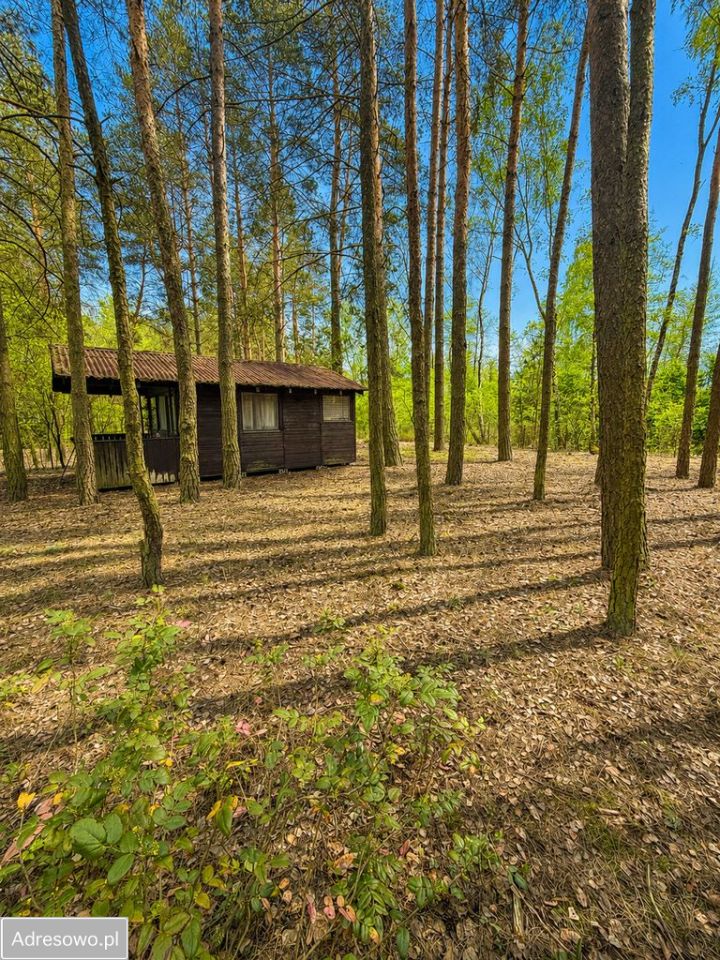 Działka budowlana Łosie, ul. Koziołka Matołka. Zdjęcie 7