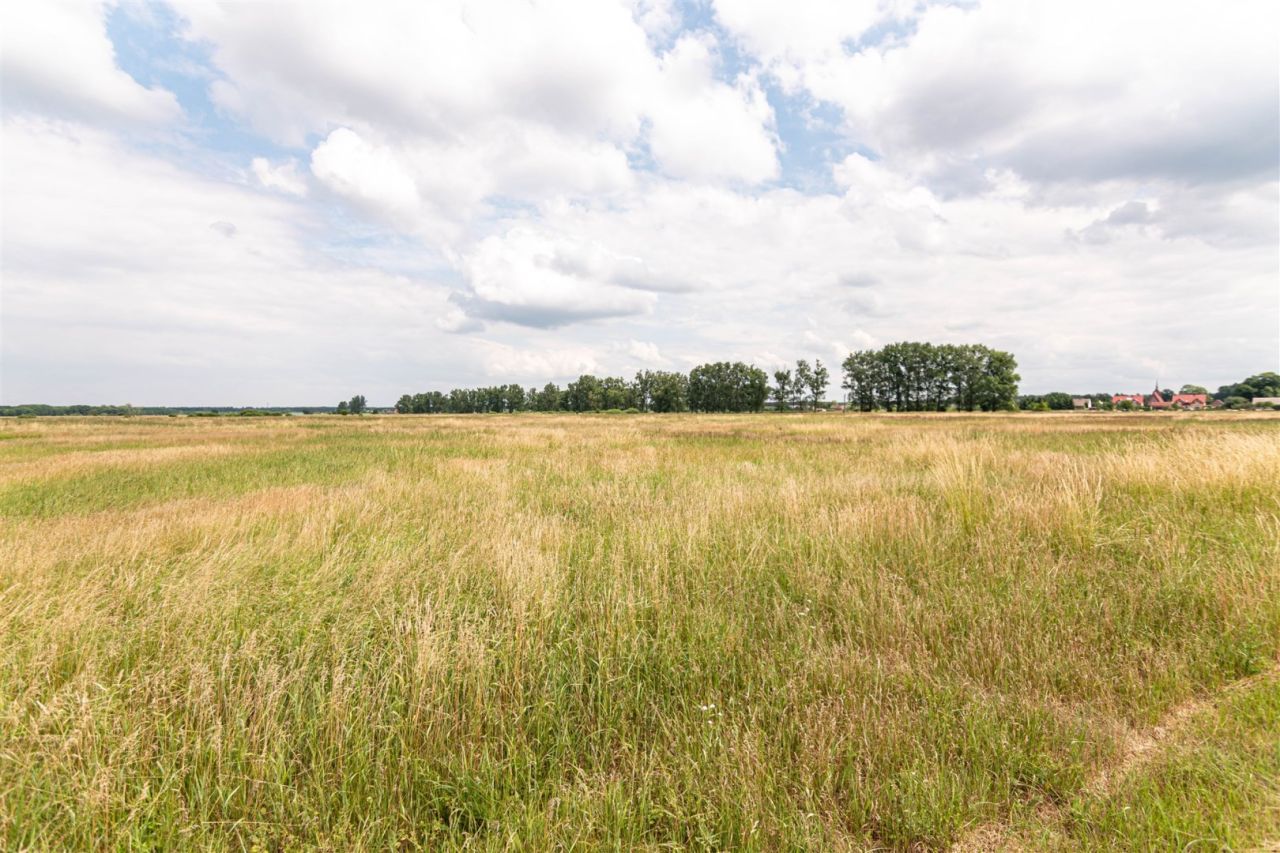 Działka Rurzyca, ul. Łąkowa. Zdjęcie 2