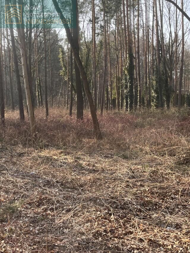 Działka budowlana Konstancin-Jeziorna. Zdjęcie 4