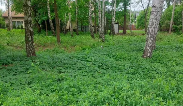 Działka budowlana Kobyłka Piotrówek, ul. Zaciszna