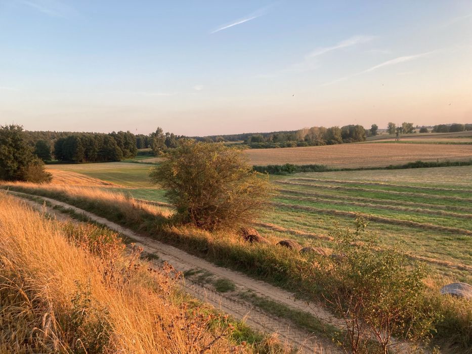 Działka budowlana Komratowo. Zdjęcie 6