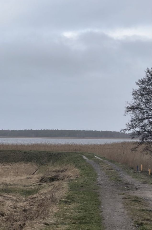 Działka rolno-budowlana Karcino. Zdjęcie 7