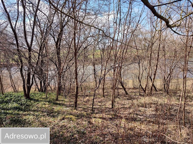 gospodarstwo, 7 pokoi Szczutkowo. Zdjęcie 4