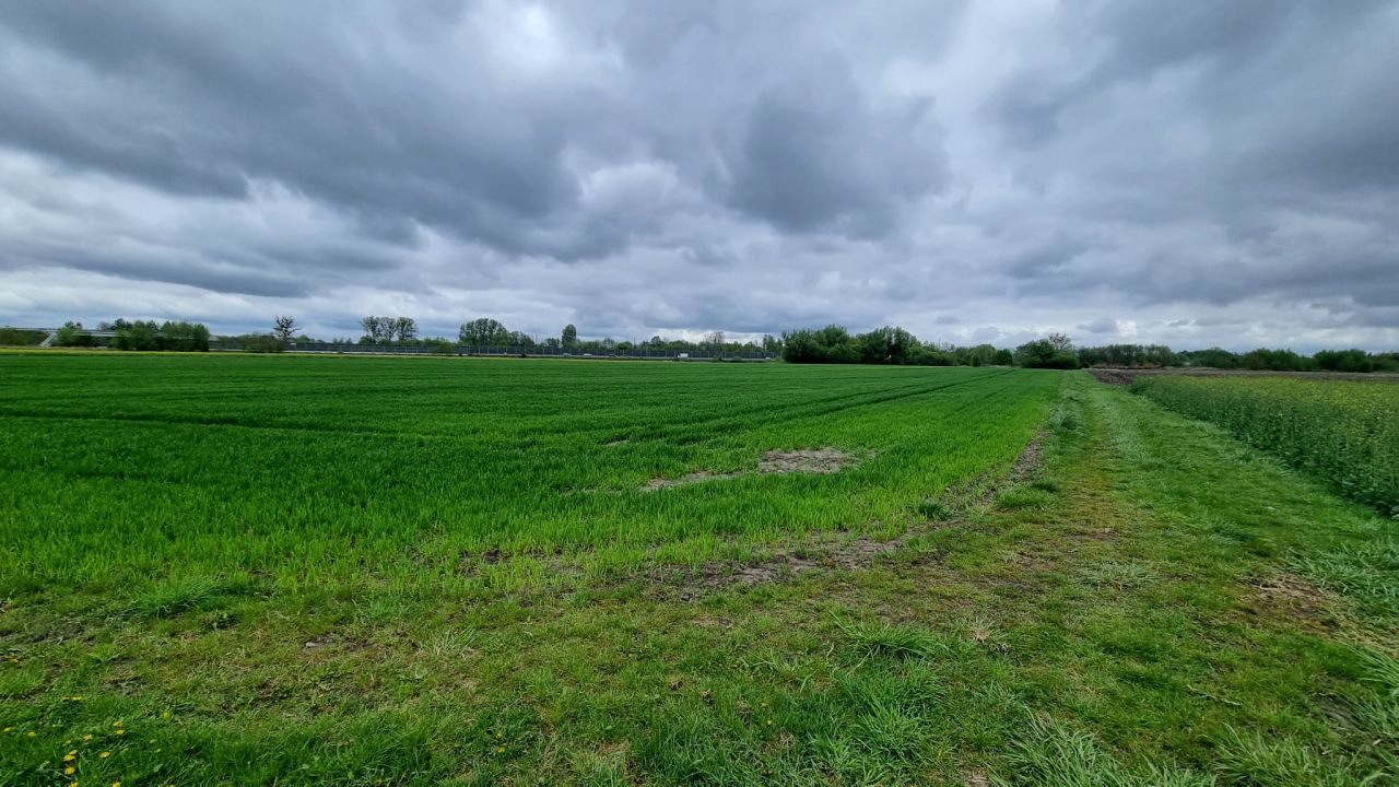 Działka rolna Żuków. Zdjęcie 3