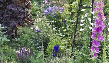 dom wolnostojący, 3 pokoje Poćwiardówka