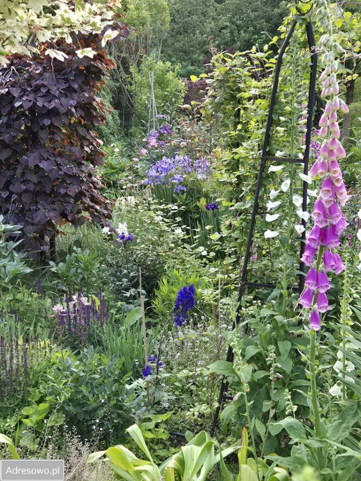 dom wolnostojący, 3 pokoje Poćwiardówka. Zdjęcie 2