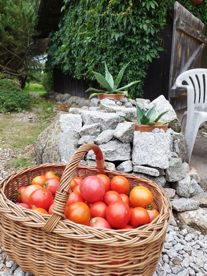 dom wolnostojący, 8 pokoi Lubień. Zdjęcie 11