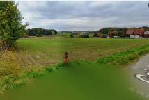 Działka rolno-budowlana Bełk Wysoka. Zdjęcie 2