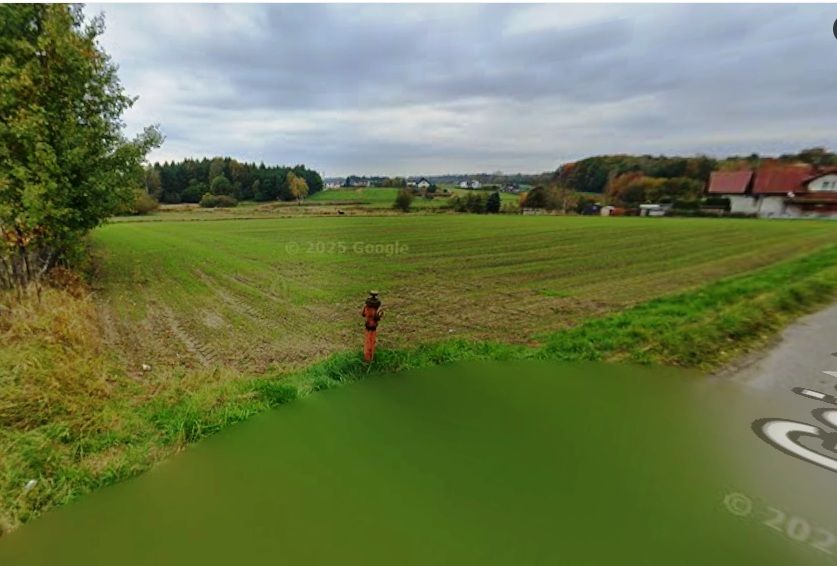 Działka rolno-budowlana Bełk Wysoka. Zdjęcie 3