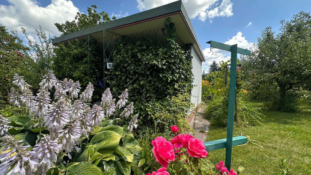 Działka rod Kielce, ul. Wrzosowa. Zdjęcie 3