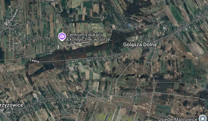 Działka rolno-budowlana Goląsza Biska, Goląsza Dolna