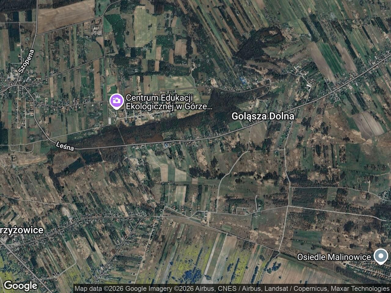 Działka rolno-budowlana Goląsza Biska, Goląsza Dolna. Zdjęcie 1