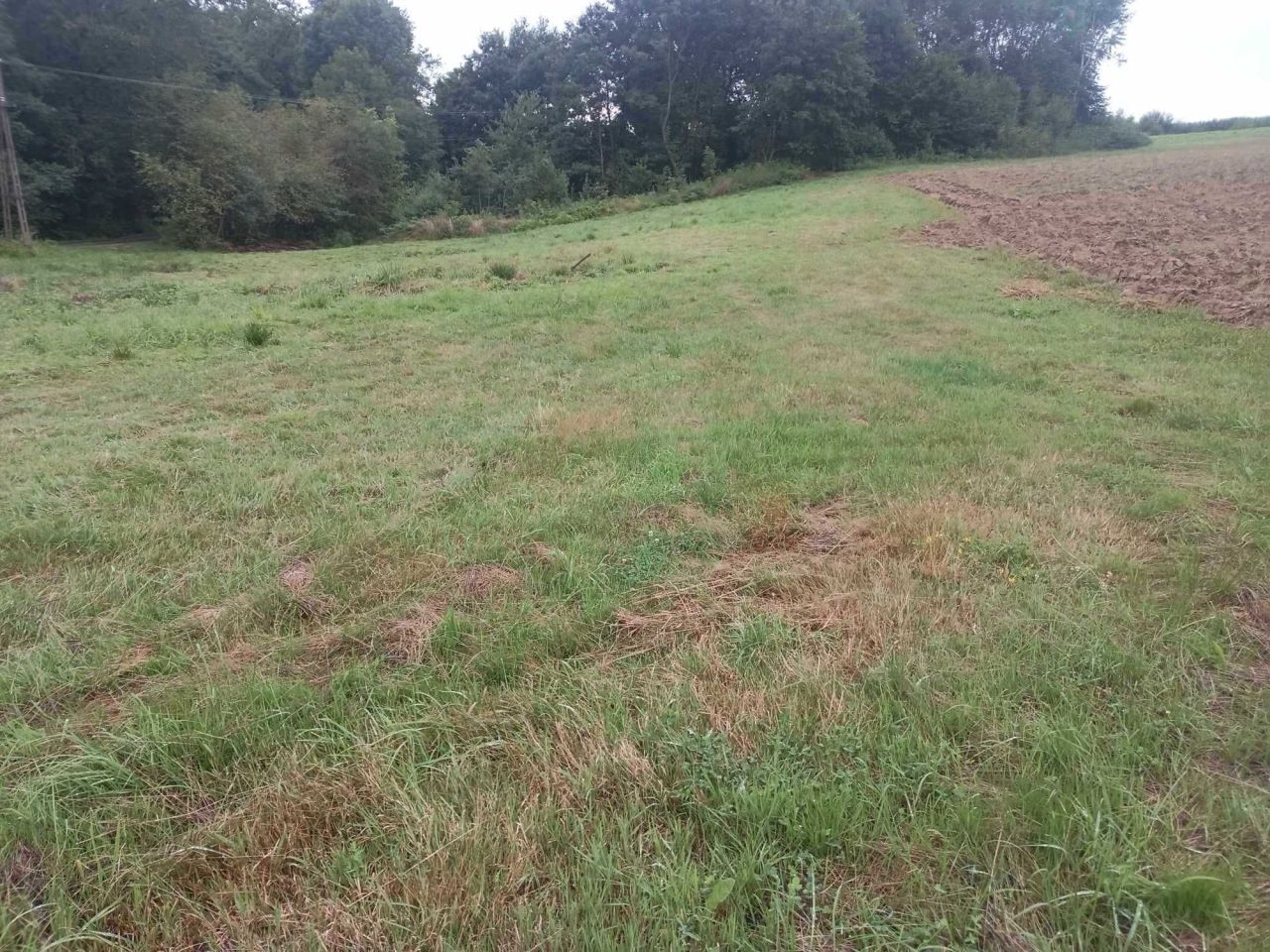 Działka rolno-budowlana Poręba Spytkowska. Zdjęcie 7
