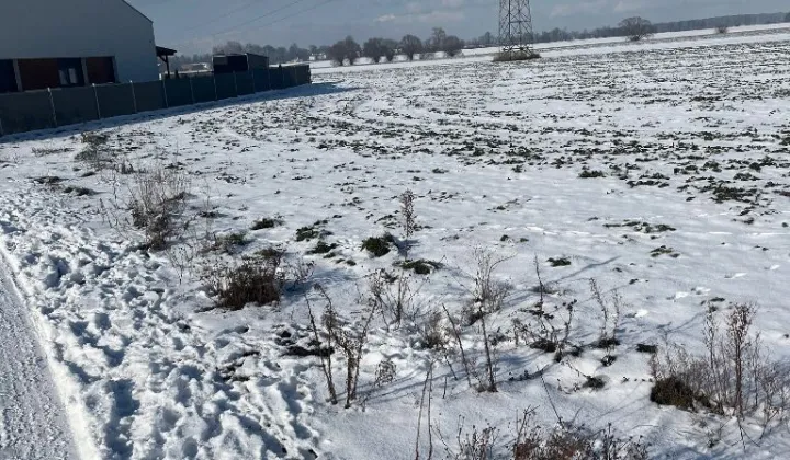 Działka budowlana Gowarzewo, ul. Jagodowa