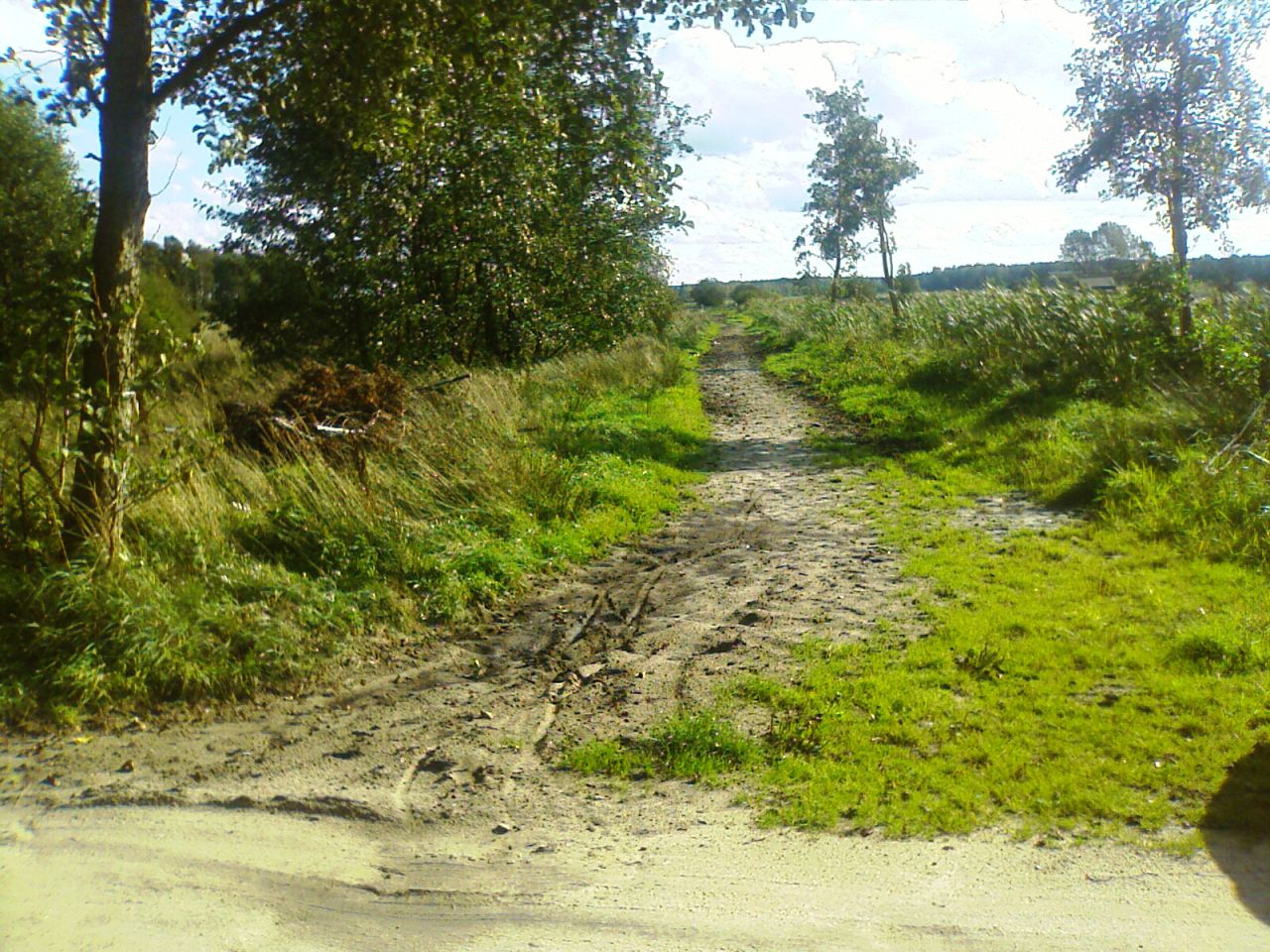 Działka rolna Białogóra. Zdjęcie 6