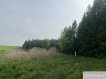 Działka siedliskowa Stary Bazanów. Zdjęcie 2