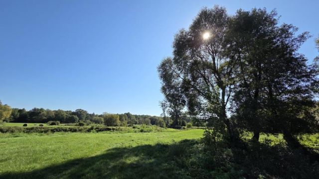 Działka rekreacyjna Dziektarzewo. Zdjęcie 5