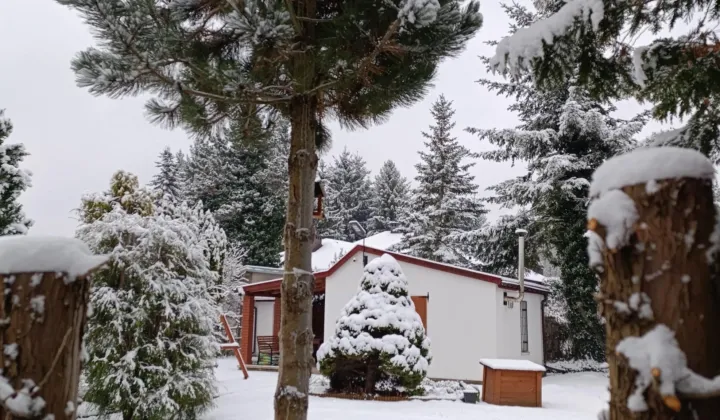 Działka rod Chylice, ul. Marka Grechuty