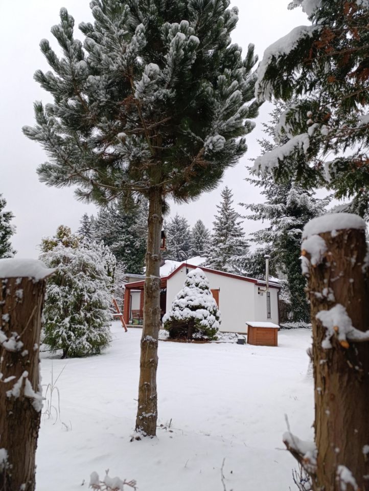 Działka rod Chylice, ul. Marka Grechuty