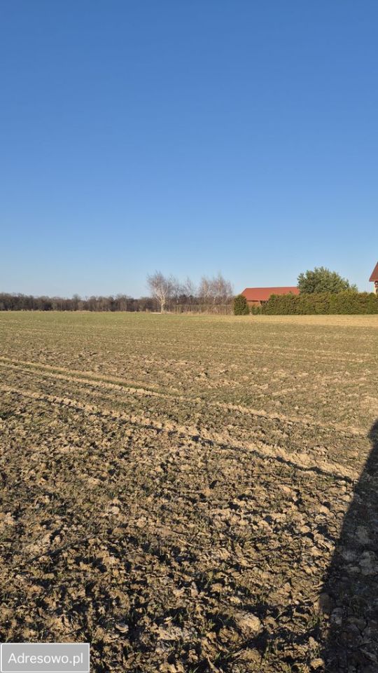 Działka budowlana Jabłonna Pierwsza. Zdjęcie 2