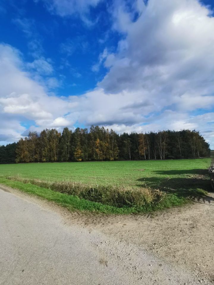 Działka budowlana Bryszki. Zdjęcie 5