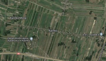 Działka siedliskowa Kalinko Kalinko-Morgi