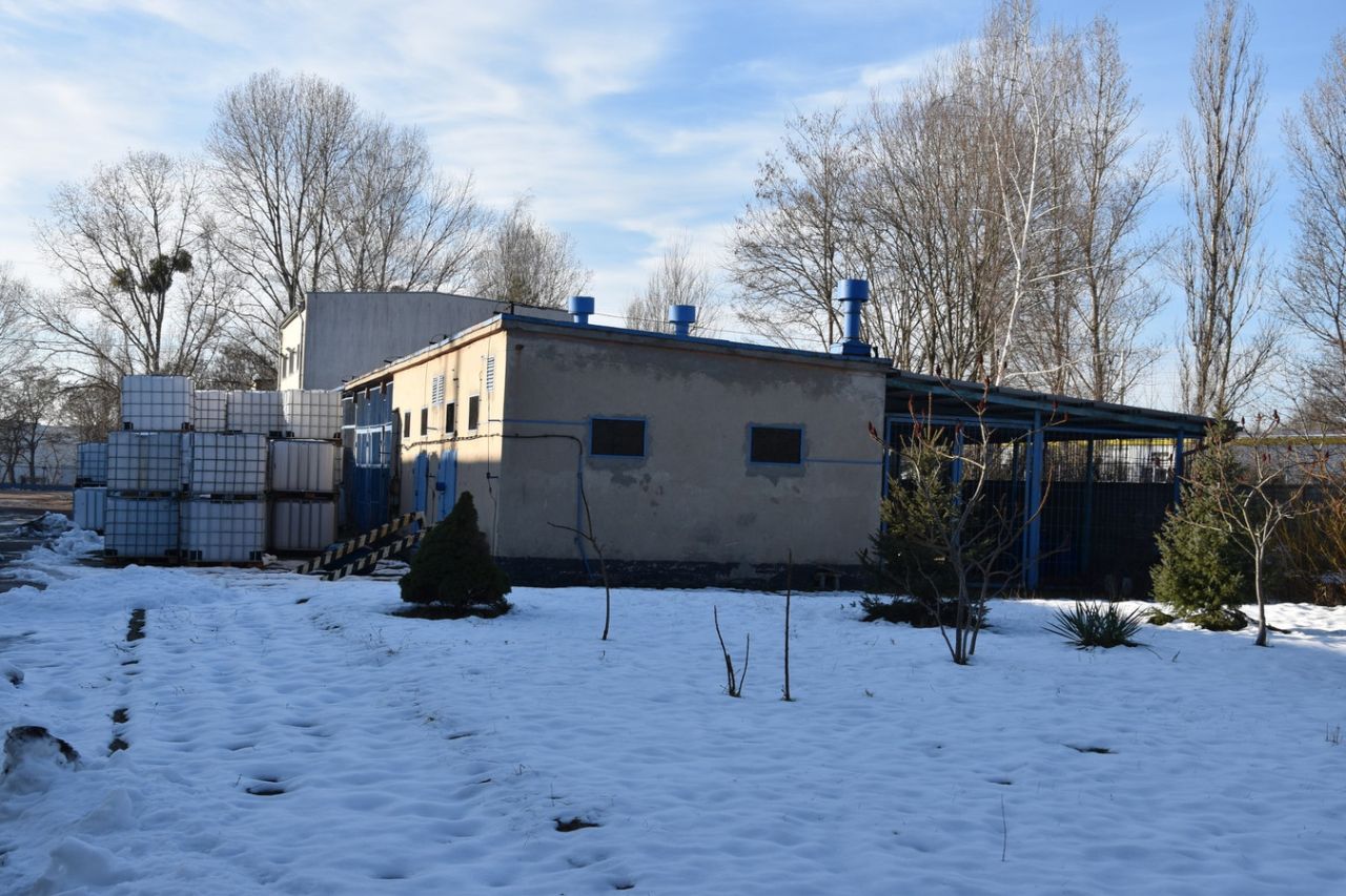 Hala/magazyn Łódź Widzew, ul. Lodowa. Zdjęcie 10